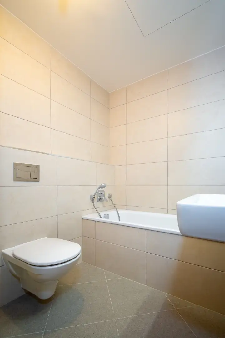 Pronájem bytu 2+kk, 43m², ulice Jankovcova 1629/65, Praha - Holešovice