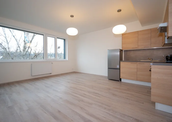 Pronájem bytu 2+kk, 43m², ulice Jankovcova 1629/65, Praha - Holešovice