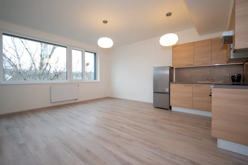 Pronájem bytu 2+kk, 48 m², nezařízený,  Praha - Holešovice