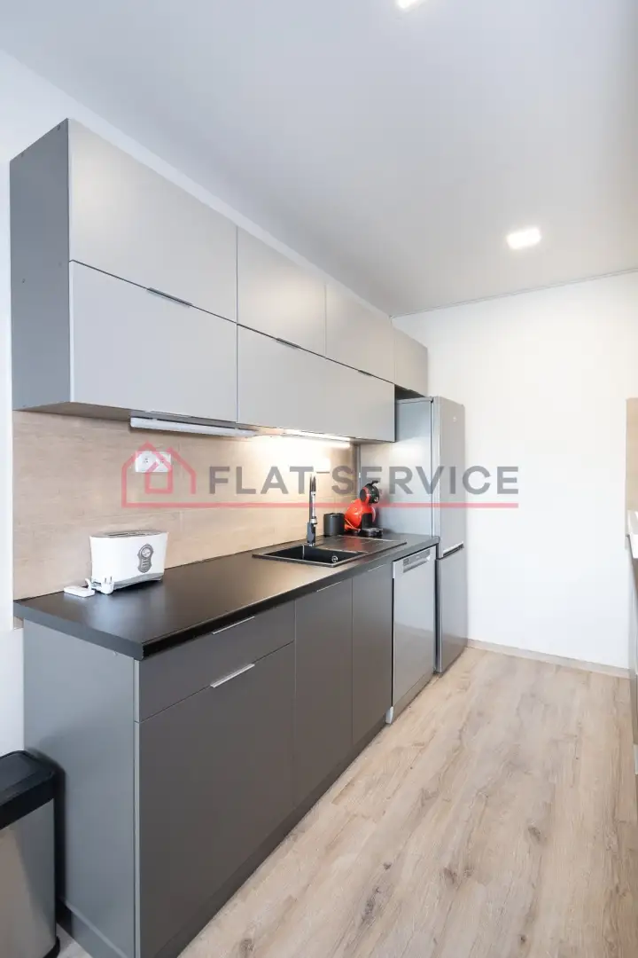 Pronájem bytu 2+kk 49 m², Praha - Vokovice