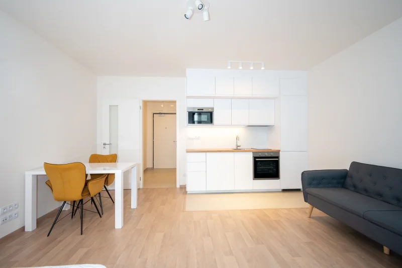 Pronájem bytu 1+kk, ulice Olgy Havlové 2916/44, Praha - Žižkov