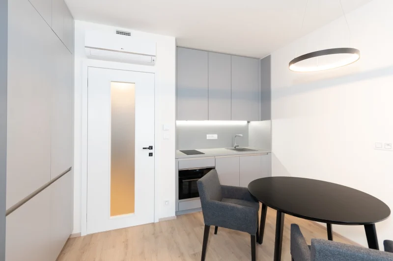 Pronájem bytu 1+kk 39 m², Praha - Žižkov