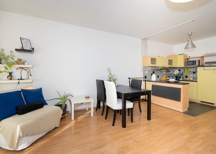 Pronájem bytu 1+kk, 47m2, s balkónem a garáží