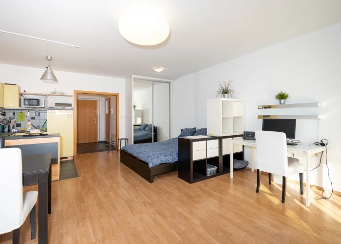 Pronájem bytu 1+kk, 47m2, s balkónem a garáží