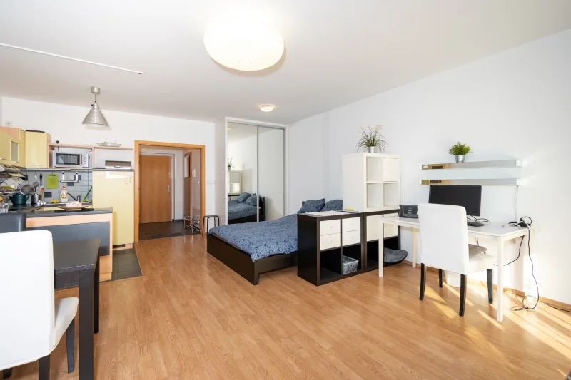 Pronájem bytu 1+kk, 47m2, s balkónem a garáží