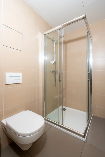 Pronájem bytu 1+kk s balkonem o výměře 42m²  Praha - Žižkov