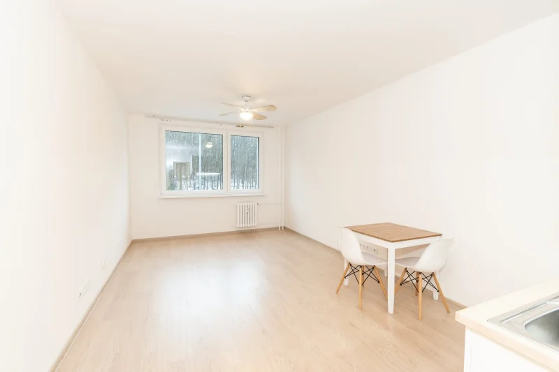Pronájem bytu 1+kk 29 m², Praha - Hodkovičky