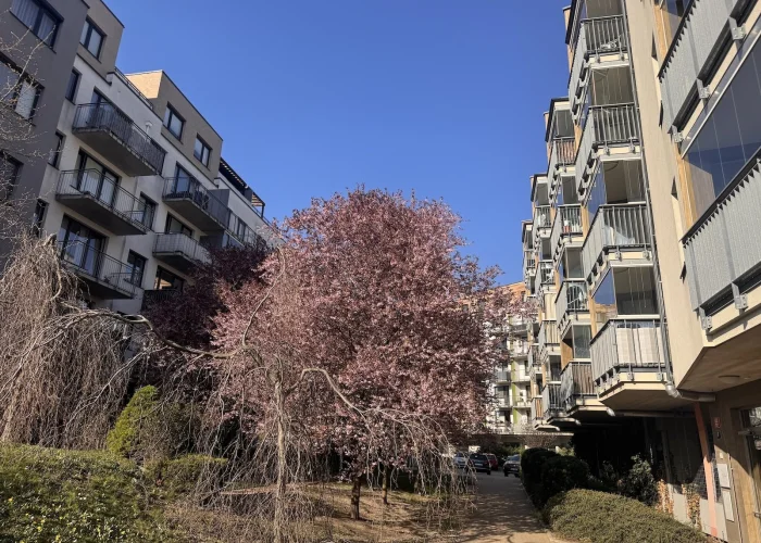 Pronájem bytu 2+kk/B/G, 54 m², novostavba, nezařízený, Praha - Střížkov