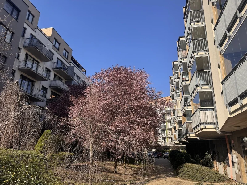 Pronájem bytu 2+kk/B/G, 54 m², novostavba, nezařízený, Praha - Střížkov