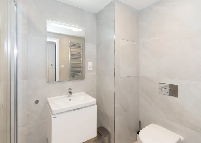 Pronájem bytu 1+kk 39 m², Praha - Žižkov