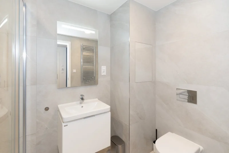 Pronájem bytu 1+kk 39 m², Praha - Žižkov