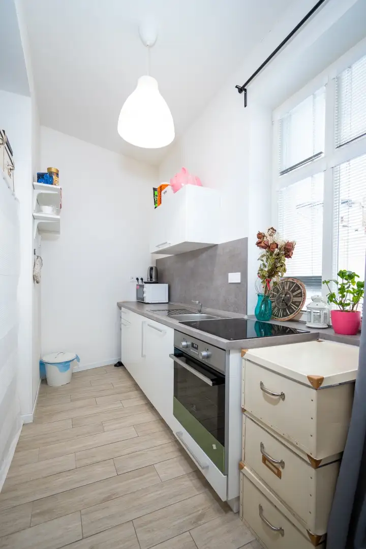 Pronájem bytu 1+kk, ulice Mečislavova, Praha - Nusle