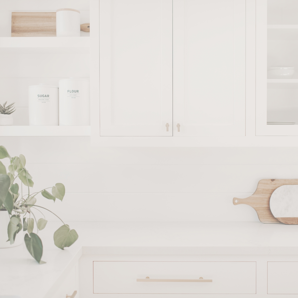 Důvěryhodnost a transparentnost