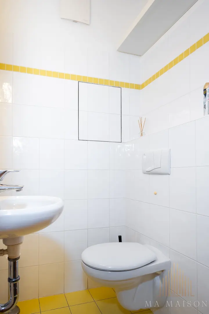 Pronájem bytu, 1kk, 47m2, s balkónem a garáží