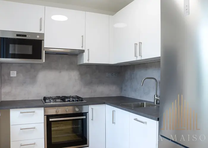 Pronájem bytu 4+kk/B, 77,2 m2, po rekonstrukci, Praha 10 - Vinohrady