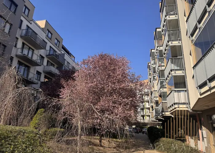 Pronájem bytu 2+kk/B/G, 54 m², novostavba, nezařízený, Praha - Střížkov