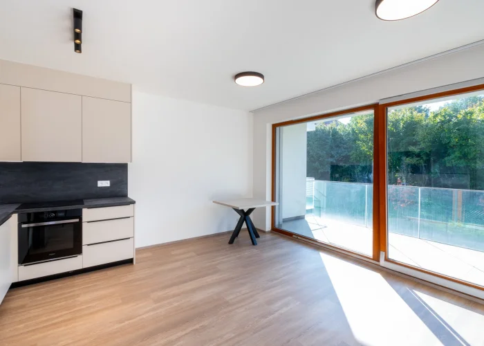Pronájem bytu 1+kk, 40 m², nezařízený, Praha 5 - Radlice